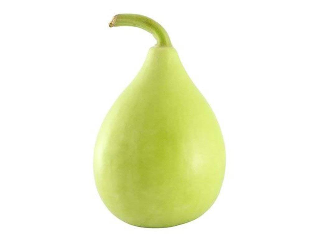     			AllThatGrows Bottle Gourd Bulb Seeds, GMO Free, Non-Hybrid Lauki Vegetable Seeds - 20 Seeds