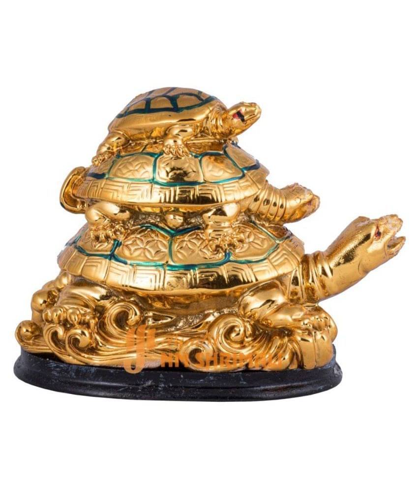     			Pandit NM Shrimali Tortoise