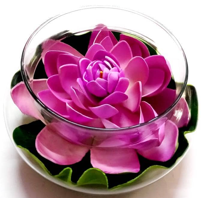 Green plant indoor Lotus Blue Flowers With Pot - Pack of 1