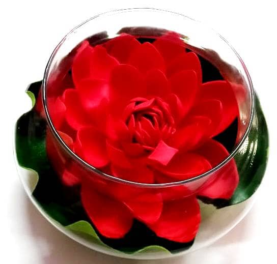 Green plant indoor Lotus Red Flowers With Pot - Pack of 1