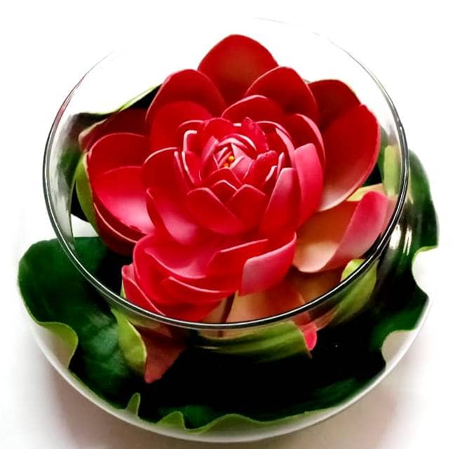 Green plant indoor Lotus Red Flowers With Pot - Pack of 1