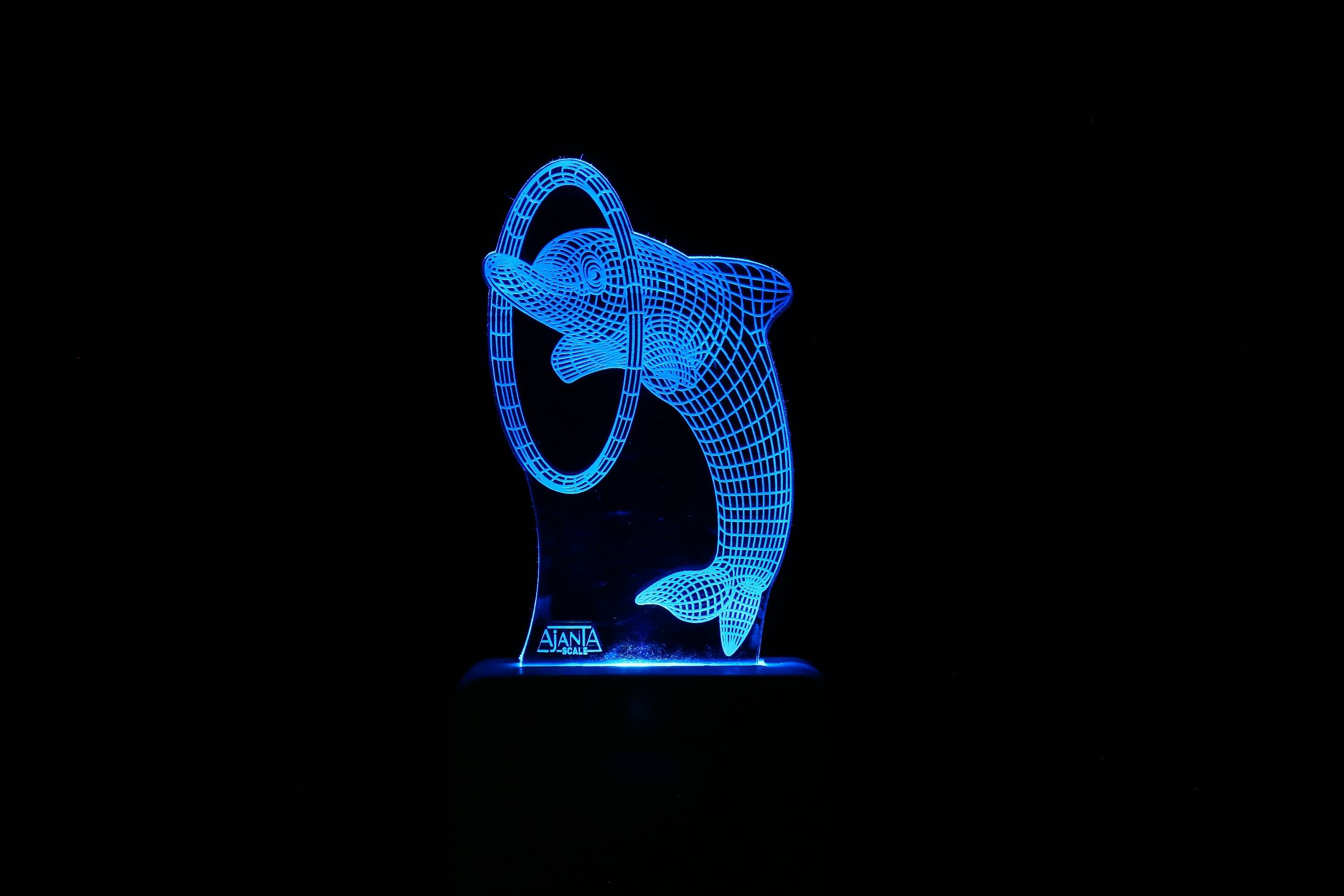     			SUPER AJANTA Dolphin 2036 3D Night Lamp Multi - Pack of 1