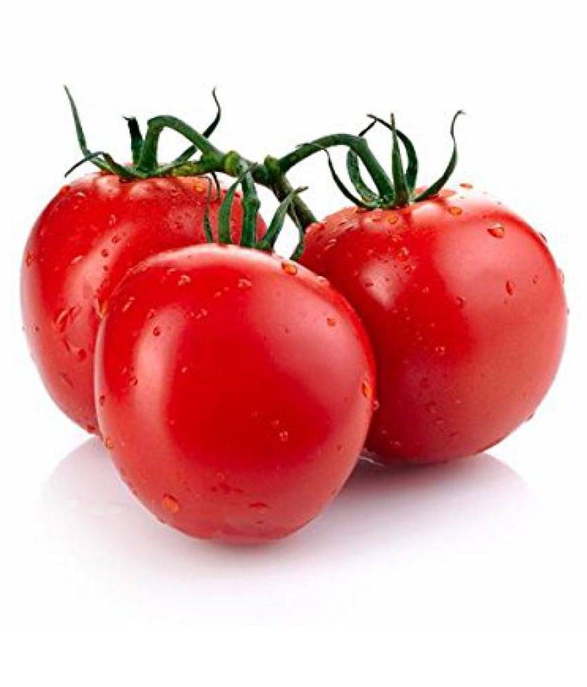    			F1 HYBRID INDIAN TOMATO 100 SEEDS