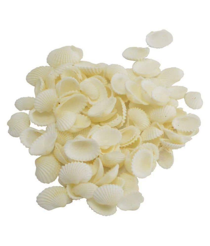 Sea Shells white ,500 Gm Pack ,Used In Aquariums ,Art & Crafts ,Decorations, Table Decoration , Approx,( 500 Pcs ) size 2cm - Stationery | Buy online on ZillyBuy