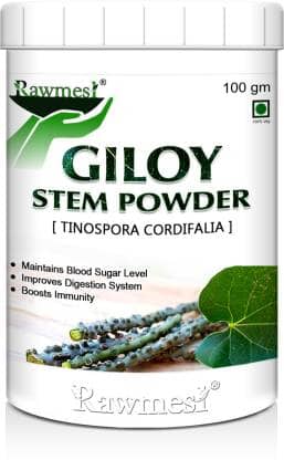 rawmest Giloy Powder 100 gm Vitamins Powder
