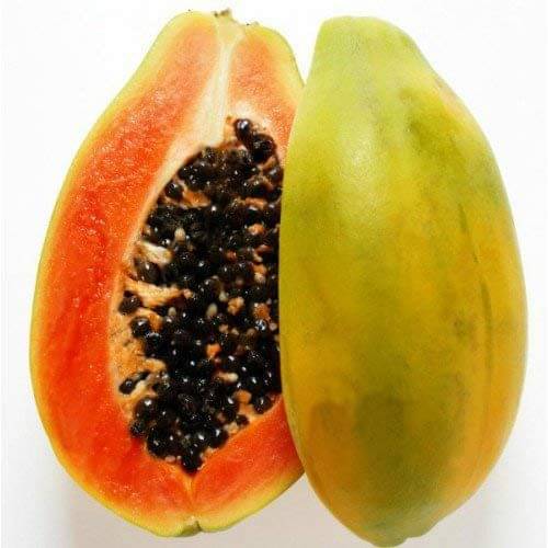     			SOIL ME Papaya Selection Seeds (High Yielding Variety) (1 Packet of Seed)