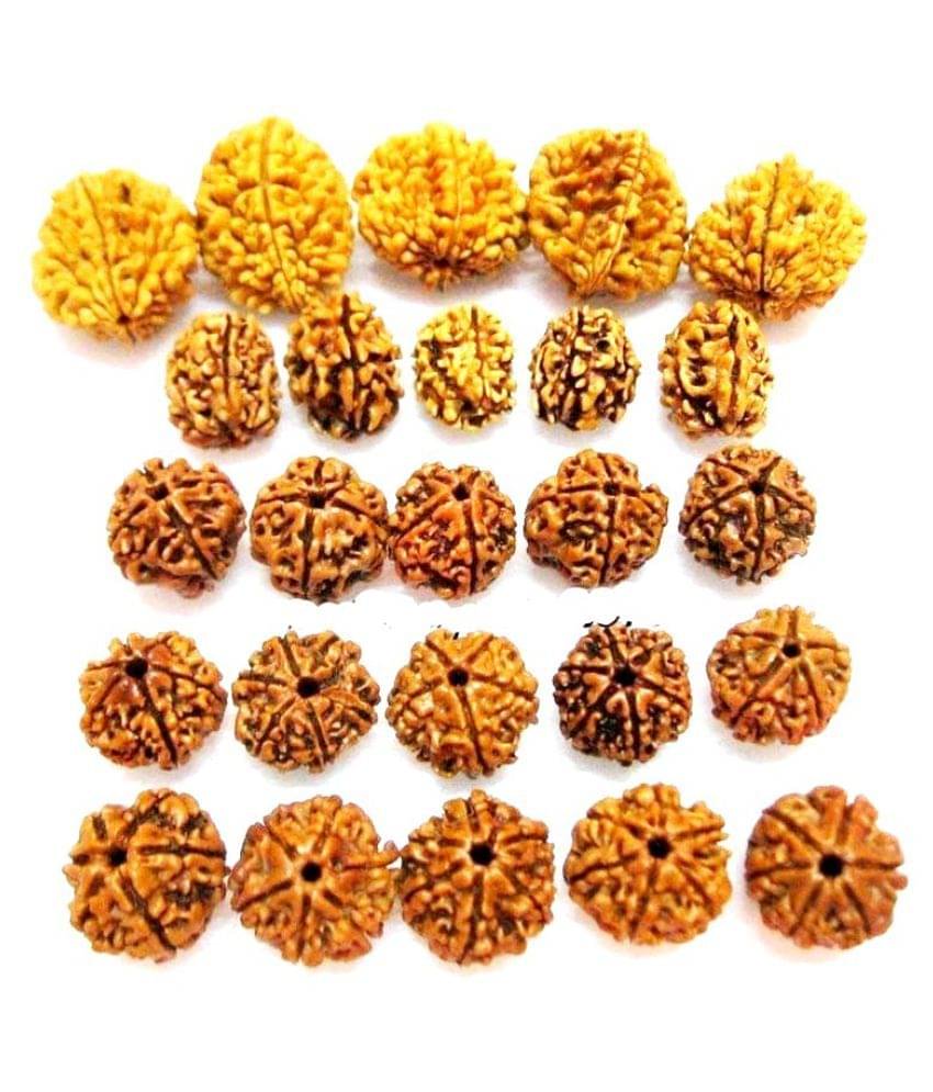    			2 3 4 5 6 Mukhi Lord Shiva Rudraksha & Rudraksh 5 Beads Each Wooden 2, 3, 4, 5,6 Mukhi Rudraksha Beads 25 Pc