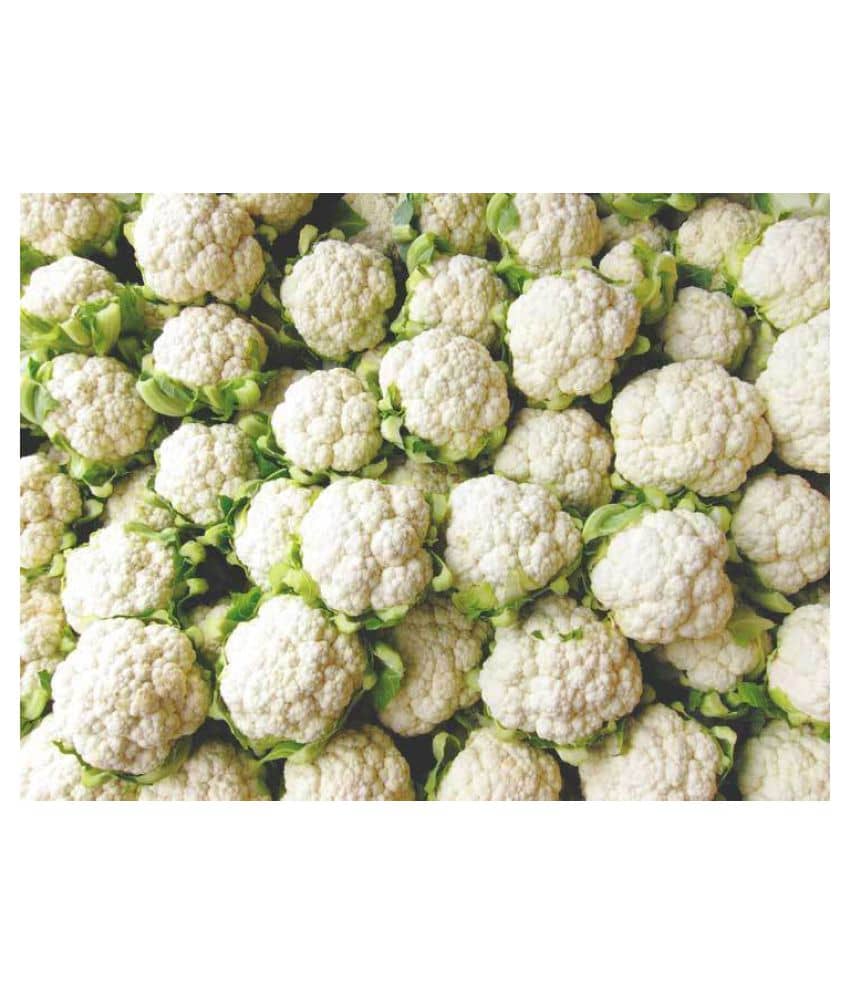 Rare Cauliflower Seeds Pack for Indoor Garden