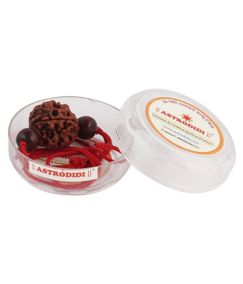     			Astrodidi 4 Mukhi Rudraksha With Red Chandan Beads