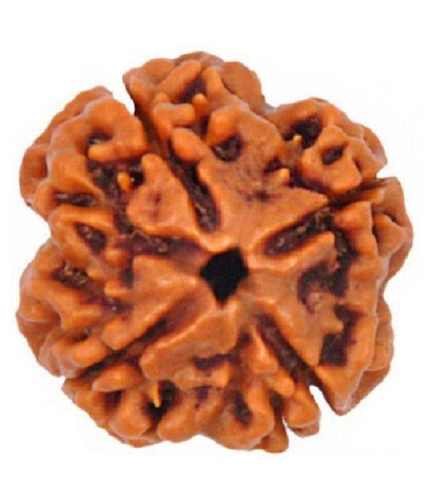     			Shivoham Rudraksha Bead Pack of 1 - 1 Beads