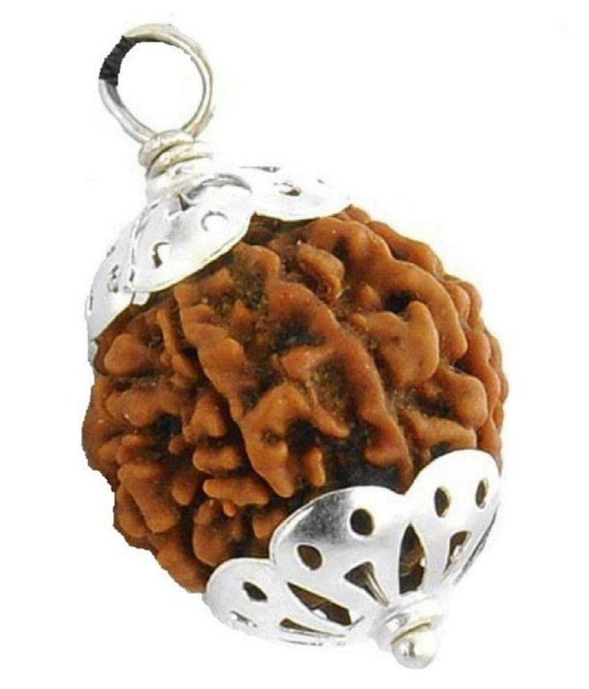     			5 Mukhi Nepali Rudraksha Silver Cap 5 Mukhi Rudraksha