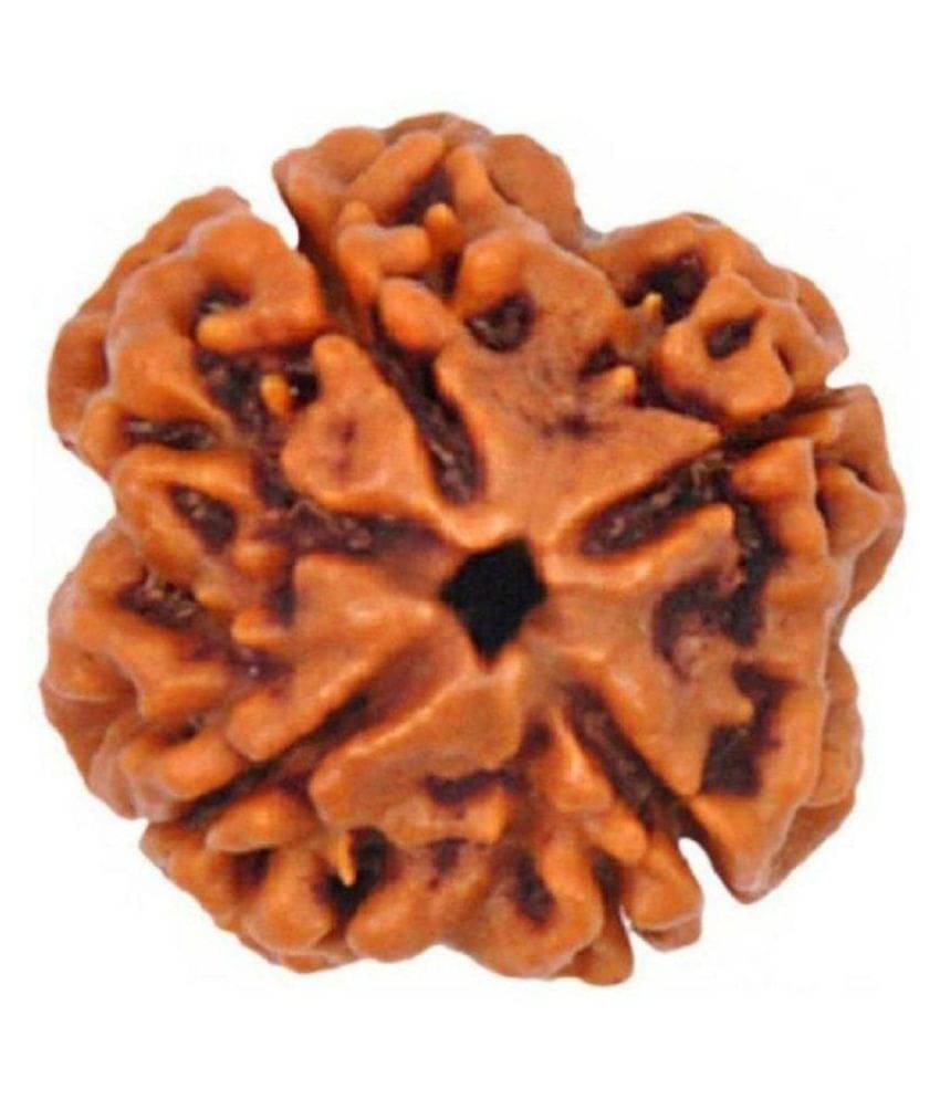     			Shivoham 4 Mukhi Rudraksha Wood Pendant