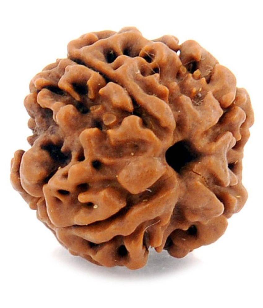     			Certified Natural Real 4 Face 4 Mukhi Rudraksha Bead Nepali Loose Chakra Healing Daily Use