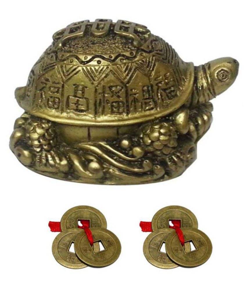     			DD1 Turtle Tortoise For Long Life and 2 Lucky Coin Set for Wealth