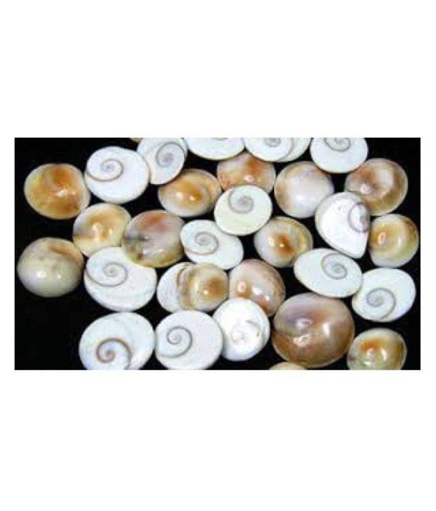     			GOMTI CHAKRA SET OF 21 PCS