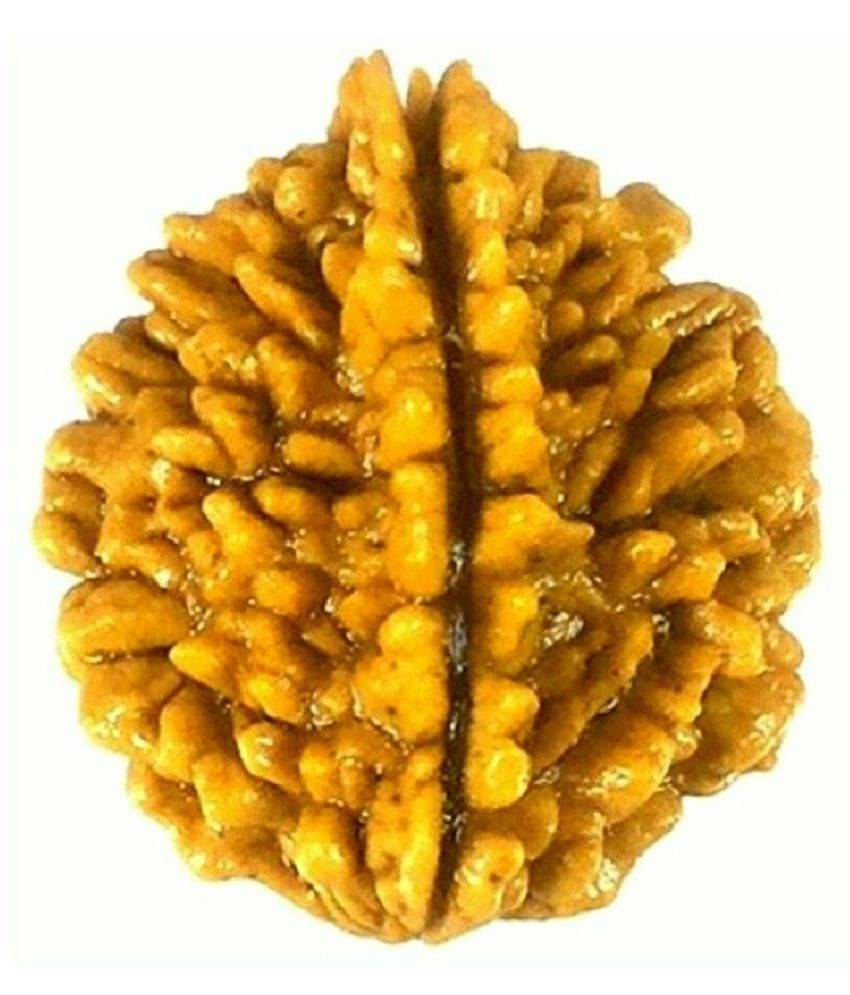     			2 Mukhi Rudraksha Lab Certified 2 Face Rudraksha Wood Pendant