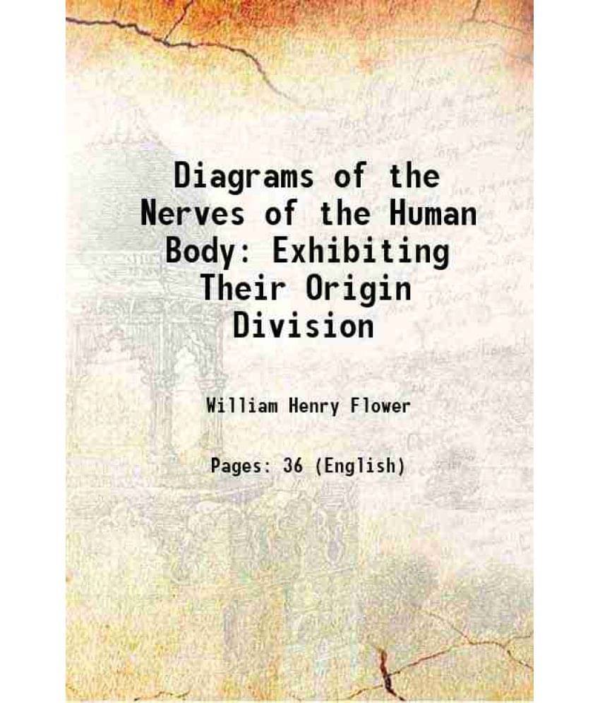 Diagrams Of The Nerves Of The Human Body Exhibiting Their Origin Division 1881 Diagrams Of The Nerves Of The Human Body Exhibiting Their Origin Division 1881