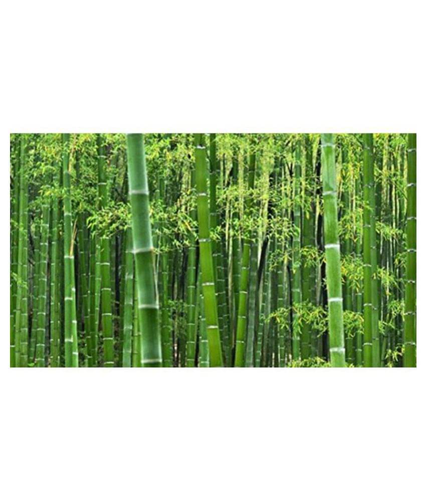     			Bamboo Tree Se.eds