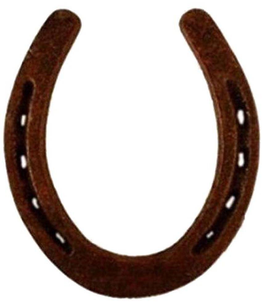     			Arina Collection  Iron Horse Shoe Naal