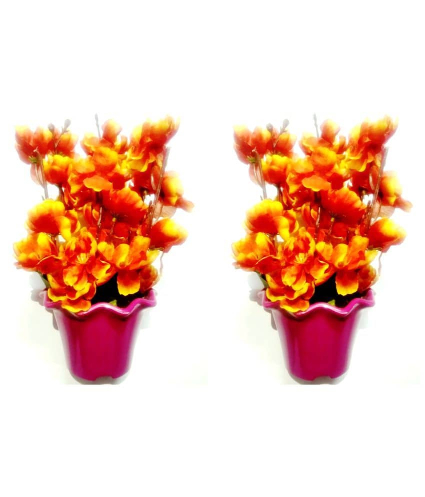 Green plant indoor Orchids Orange Flowers With Pot - Pack of 2