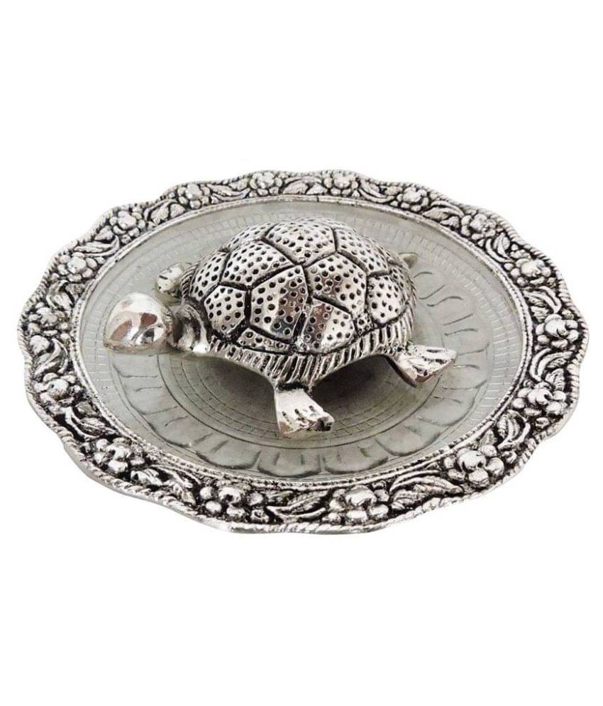     			jsk collection Tortoise