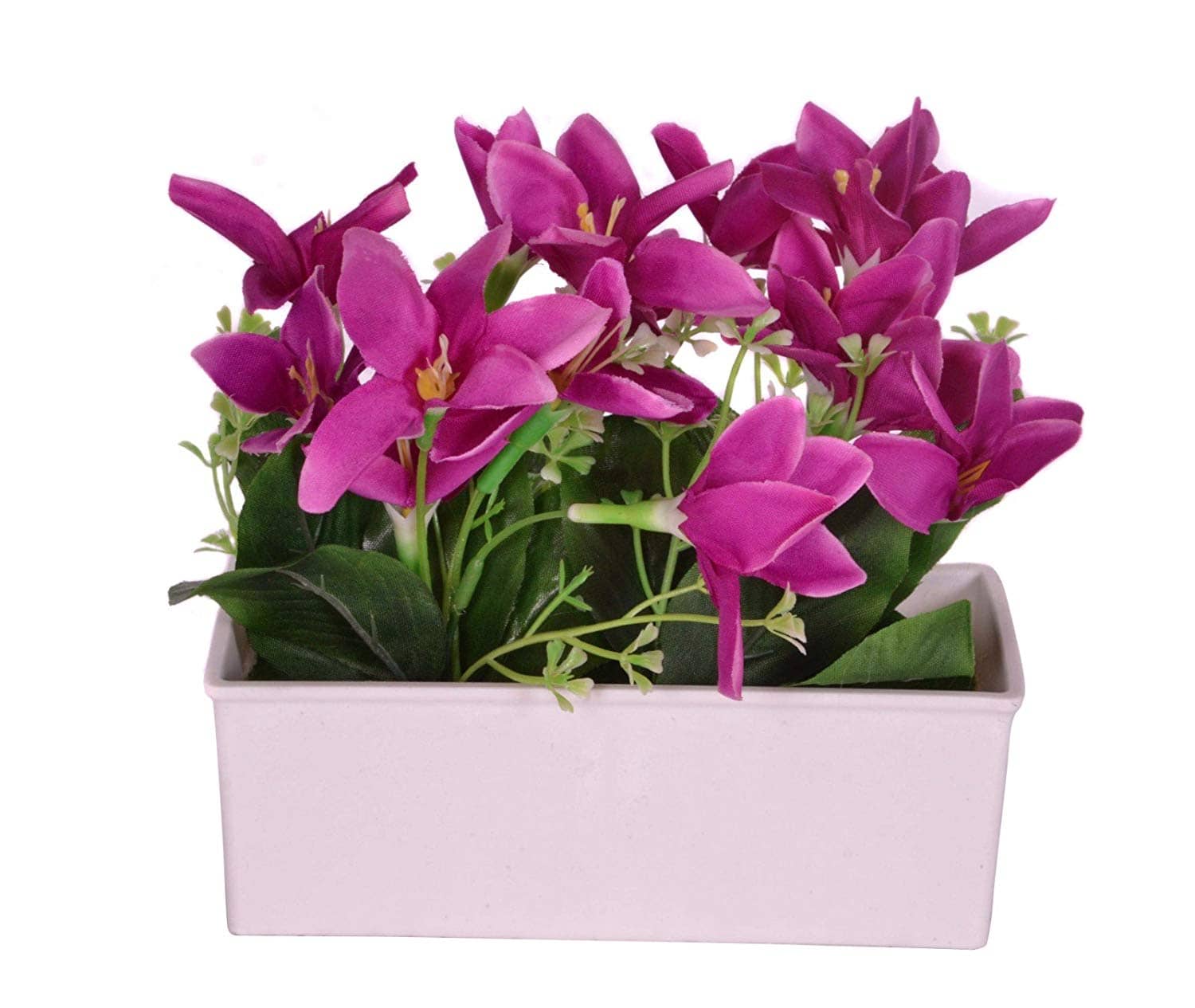 YUTIRITI Lily Purple Flowers With Pot - Pack of 1