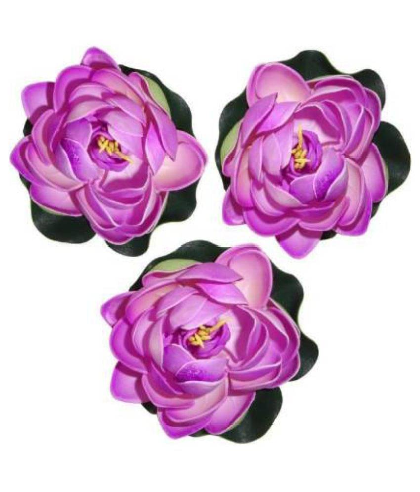 Green plant indoor Lotus Blue Floating Flowers - Pack of 3 Green plant indoor Lotus Blue Floating Flowers - Pack of 3