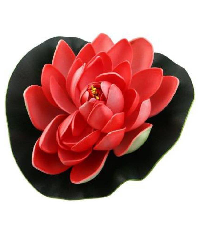 Green plant indoor Lotus Red Floating Flowers - Pack of 1 Green plant indoor Lotus Red Floating Flowers - Pack of 1