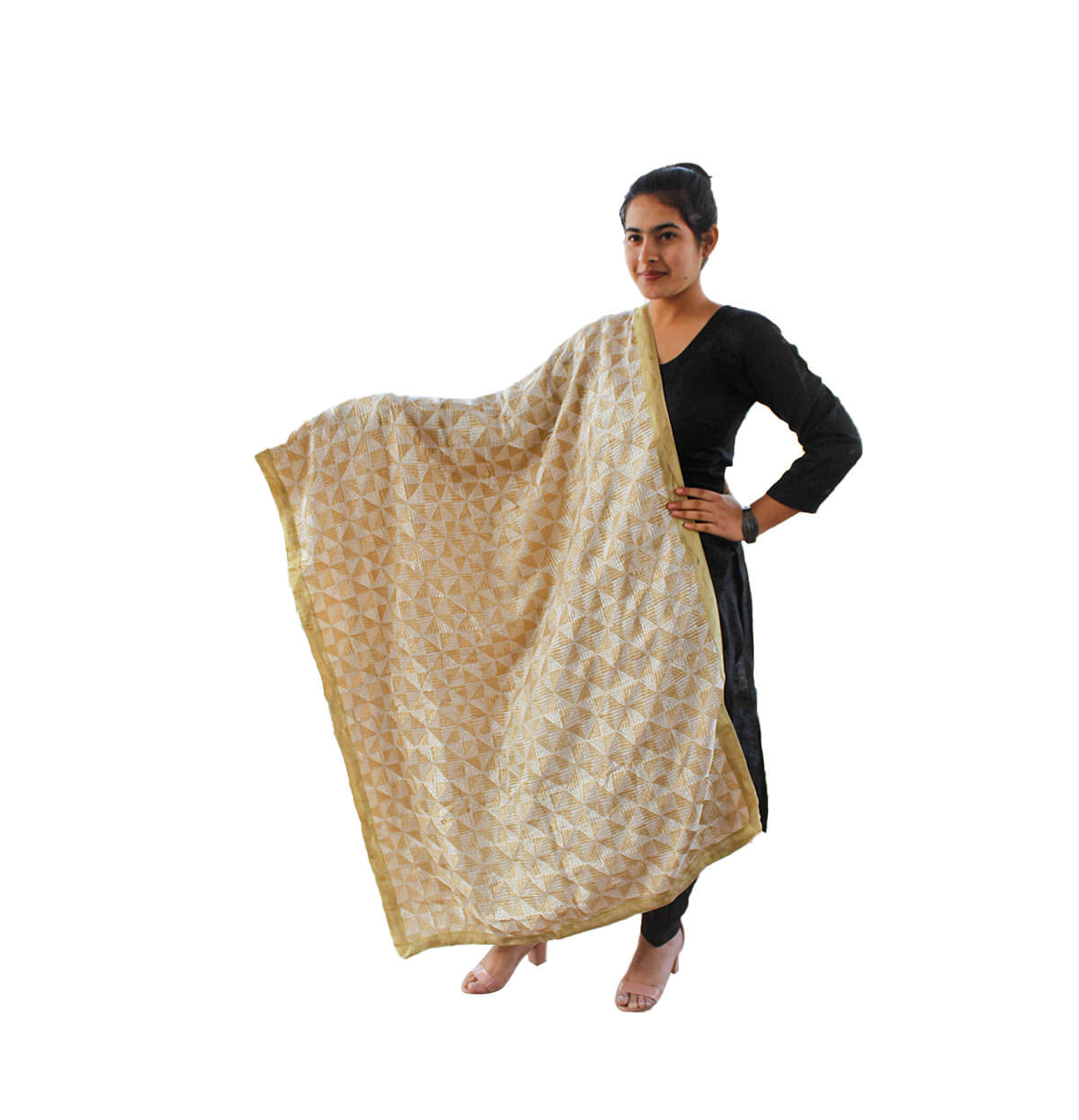     			Sahej Suits & Phulkari Beige Chiffon Dupatta