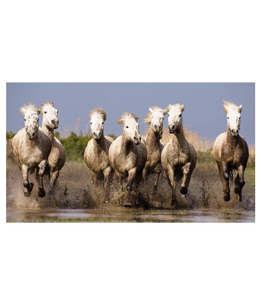     			American Noti Vastu 7 Lucky Horse Paper Wall Poster Without Frame