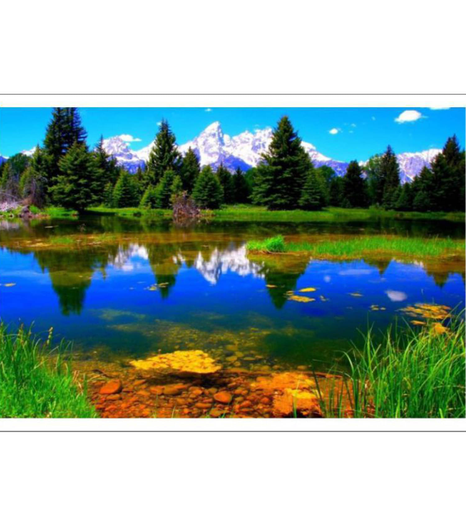     			American Noti natcher wallpaper Paper Wall Poster Without Frame