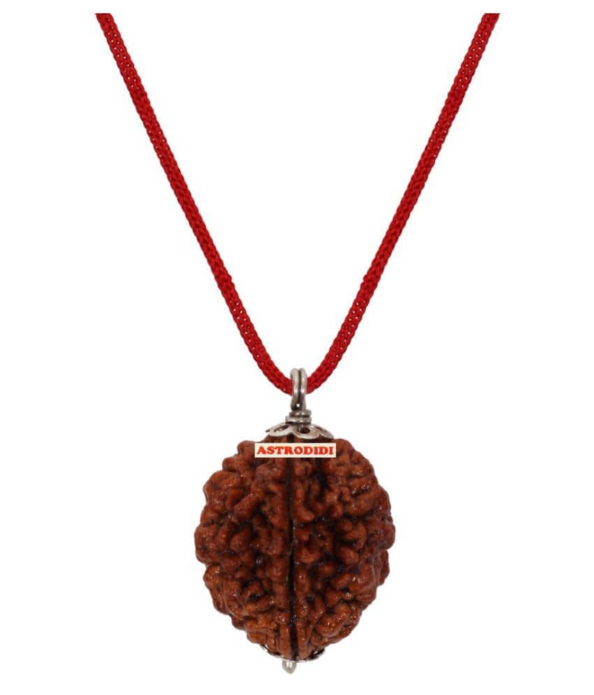 Astrodidi 2 Mukhi Two Face Rudraksha With Lab Report