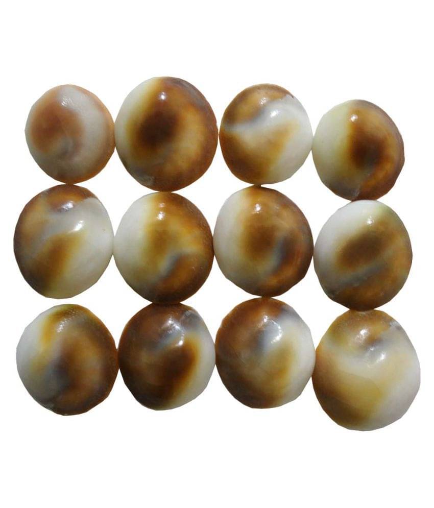 STE Original Energised Gomti /Gomati Chakra Set Of 12 for religious & Pooja article STE Original Energised Gomti /Gomati Chakra Set Of 12 for religious & Pooja article
