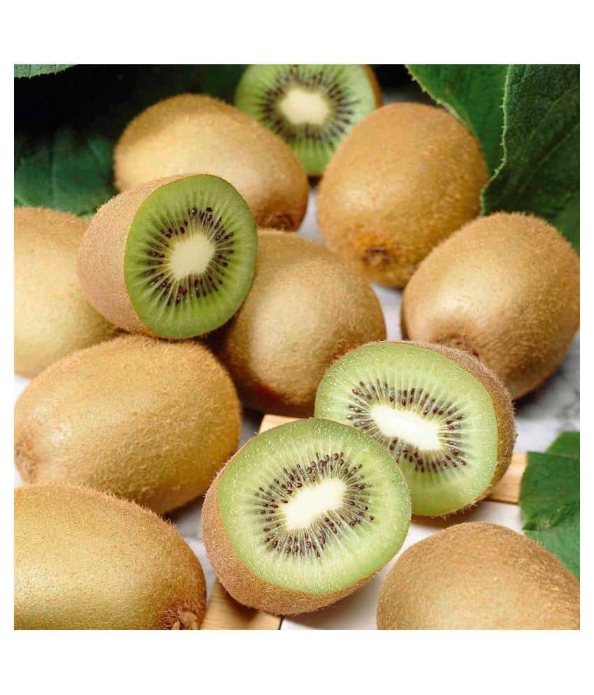 Kiwi Fruit Plant Seeds - Pack of 25