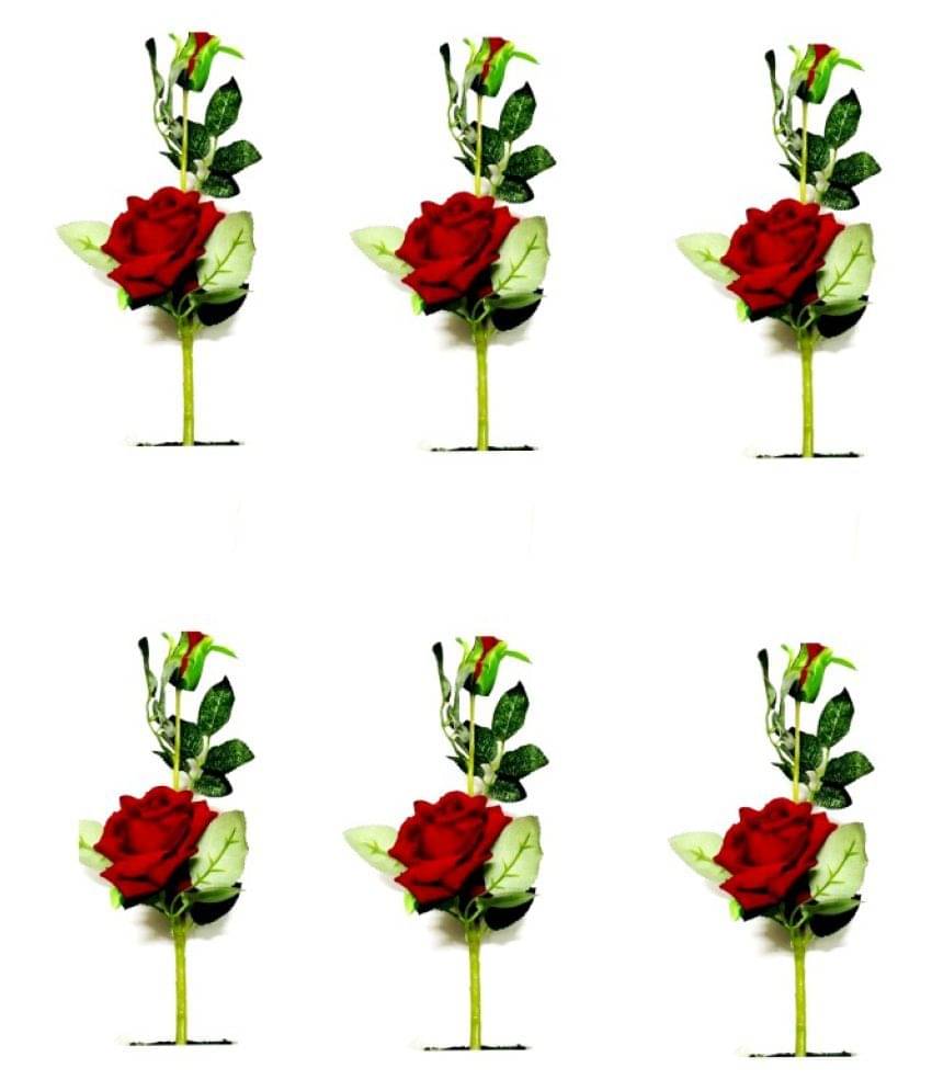 Green plant indoor Rose Red Flowers With Pot - Pack of 6 Green plant indoor Rose Red Flowers With Pot - Pack of 6