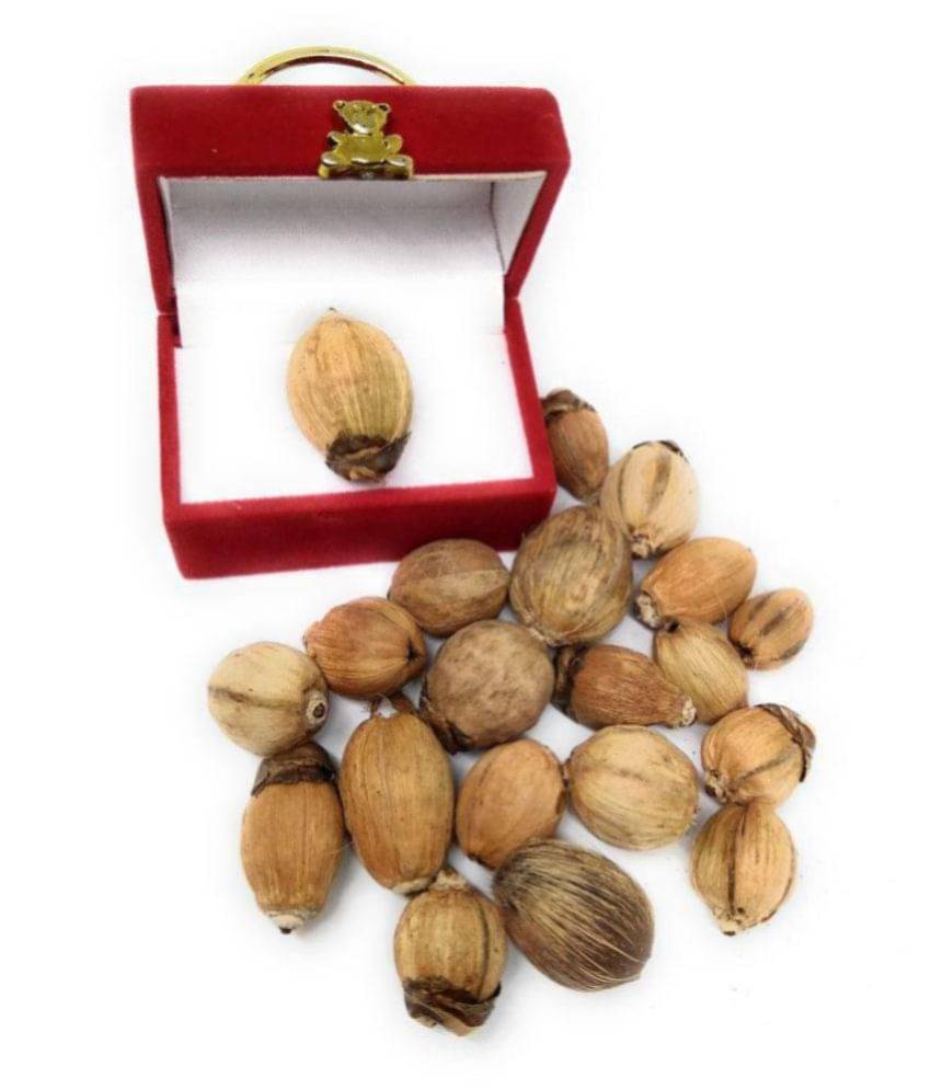 Apna Rudraksha Pure And Natural Laghu Nariyal / Small Pooja Item (Set Of 11 Pcs)     			Apna Rudraksha Pure And Natural Laghu Nariyal / Small Pooja Item (Set Of 11 Pcs)