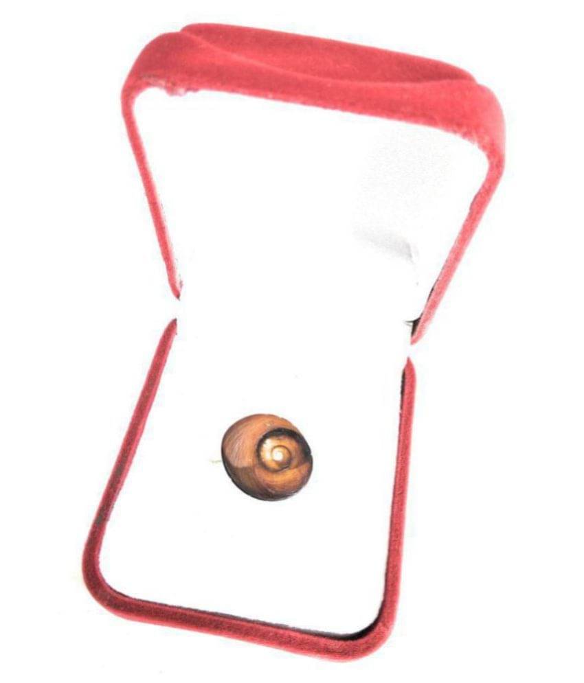     			Apna Rudraksha Gomti Chakra Gomati Chakra For Pooja ( Pack of 1 )