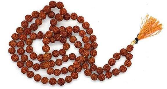     			Spherulemuster Rudraksha Pack of 1