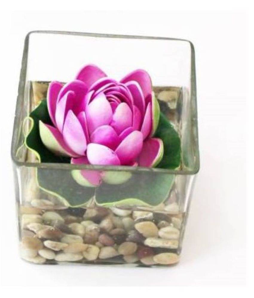     			Green plant indoor Lotus Pink Flowers With Pot - Pack of 1