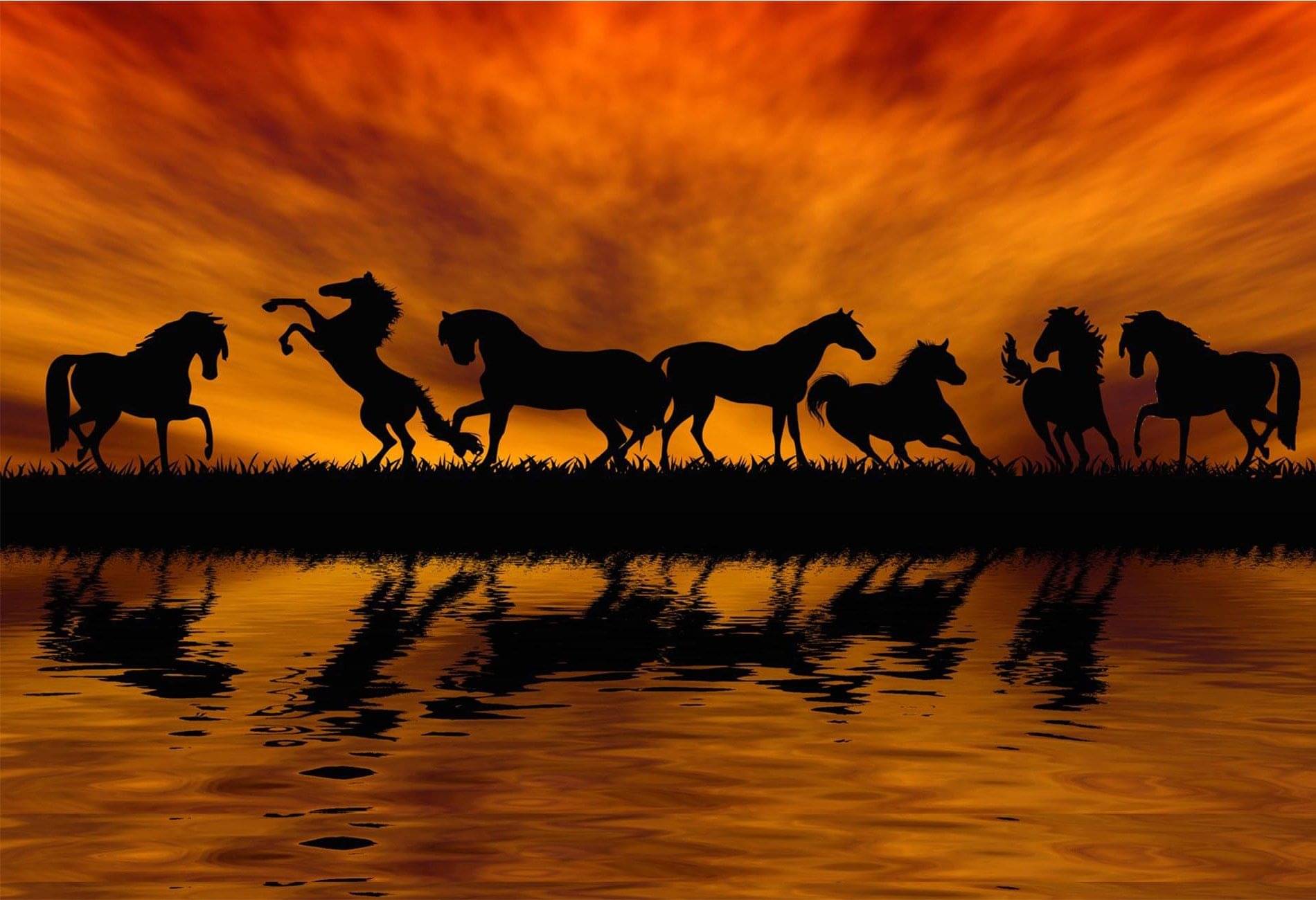     			wallpics Seven Running Horses Waterproof Sticker Vinyl Photo Wall Poster Without Frame
