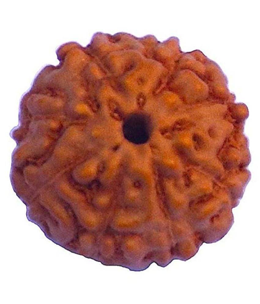 8 Face Indonesian Rudraksha 8 Mukhi Indonesian Rudraksha/Eight Faced Indonesian Rudraksha With Lab Certified 8 Face Indonesian Rudraksha 8 Mukhi Indonesian Rudraksha/Eight Faced Indonesian Rudraksha With Lab Certified