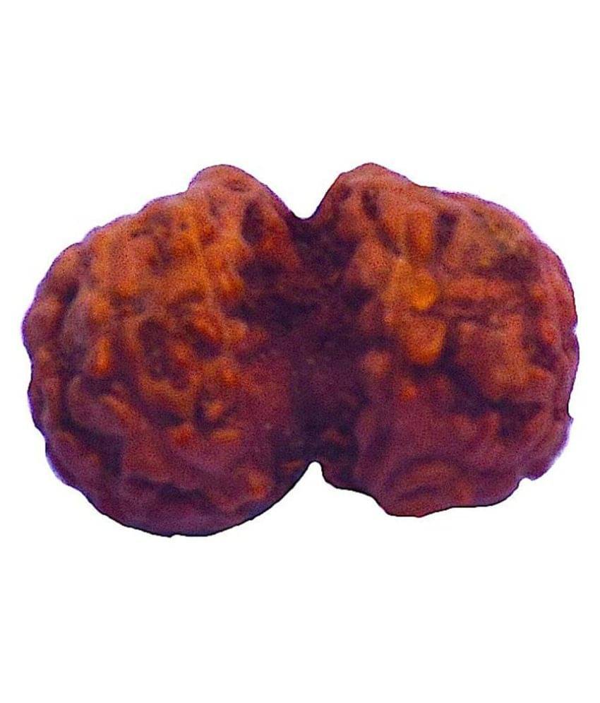     			RUDRA DIVINE Rudraksha Pack of 1