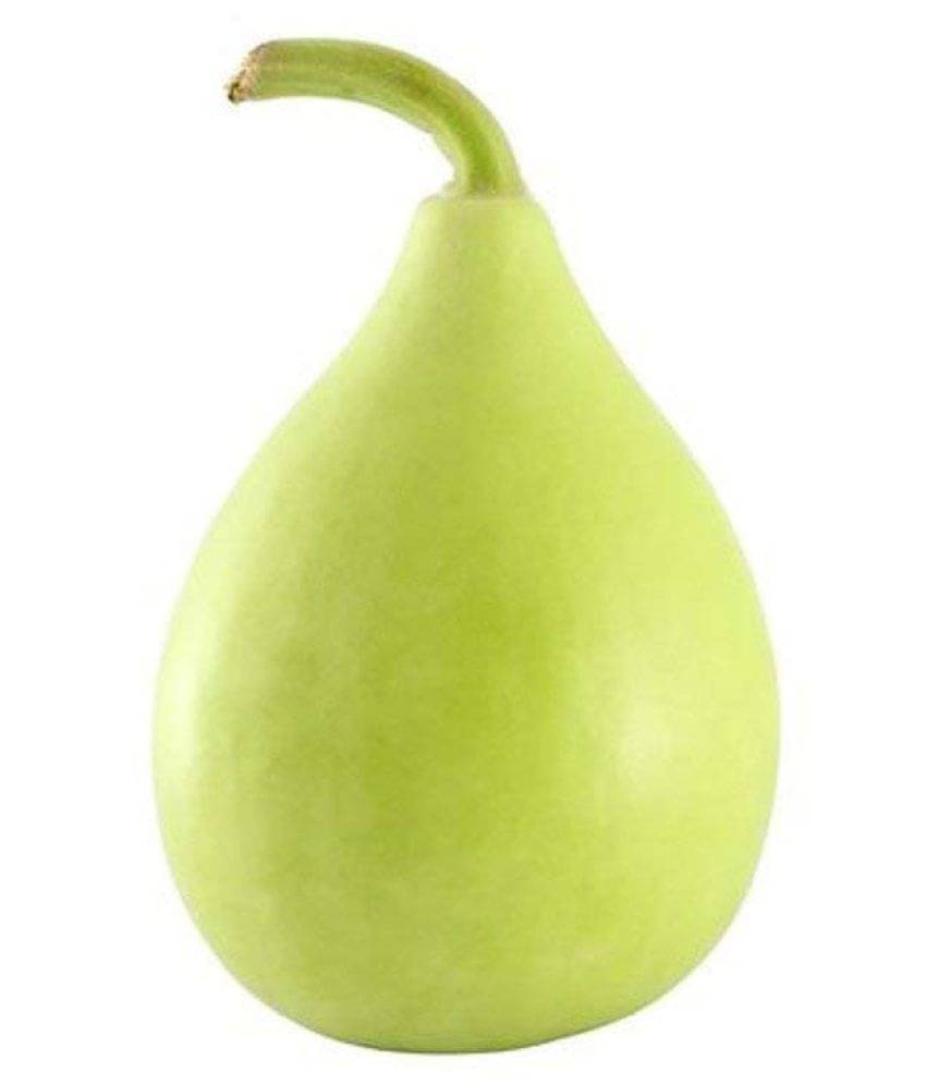     			Allthatgrows Bottle Gourd Bulb Seeds, GMO Free, Non-Hybrid Lauki Vegetable Seeds - 20 Seeds