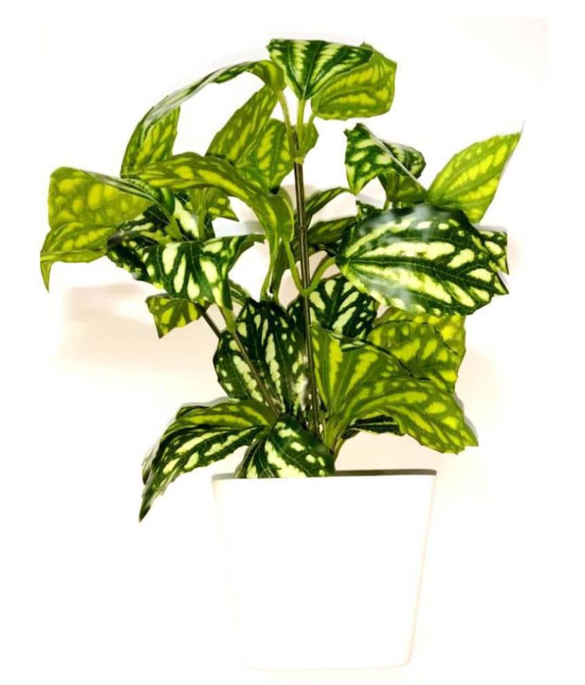 Green plant indoor Artificial Bonsai Plants with Pot Green Bonsai Plastic - Pack of 1