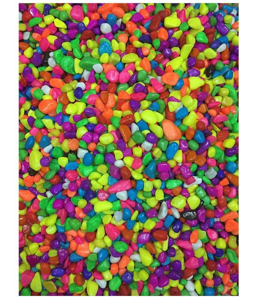 Somil Multicolor Pabbles/Stone For Garden, Plants, Aquarium & Home Decor Wt. 450g Somil Multicolor Pabbles/Stone For Garden, Plants, Aquarium & Home Decor Wt. 450g