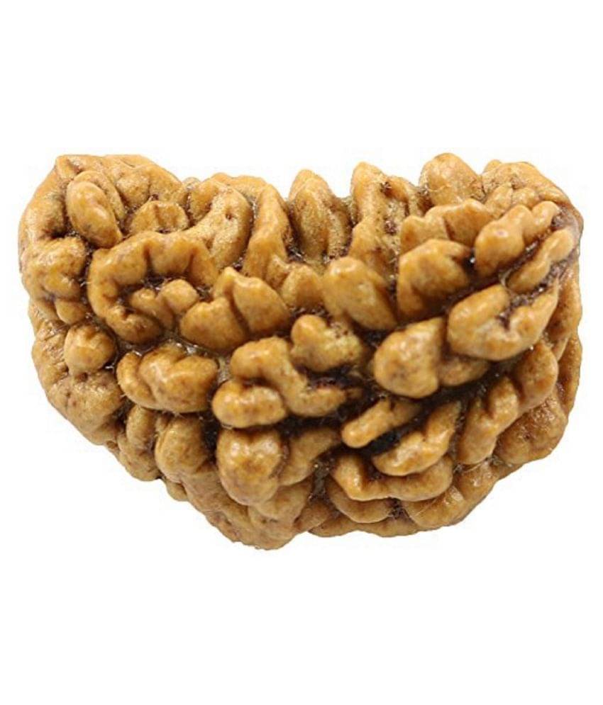     			Lord Shiva Ek- Mukhi Rudraksha (LAB_CERTIFIED)