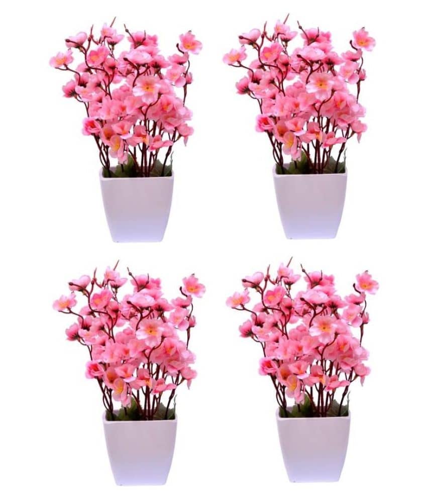 Green plant indoor Orchids Pink Flowers With Pot - Pack of 4