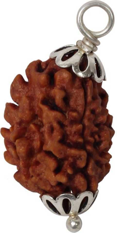 Astrodidi 3 Mukhi Rudraksha Pendant With Lab Report Certificate