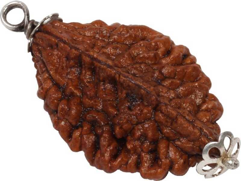     			Astrodidi 2 Mukhi Rudraksha With Lab Certificate
