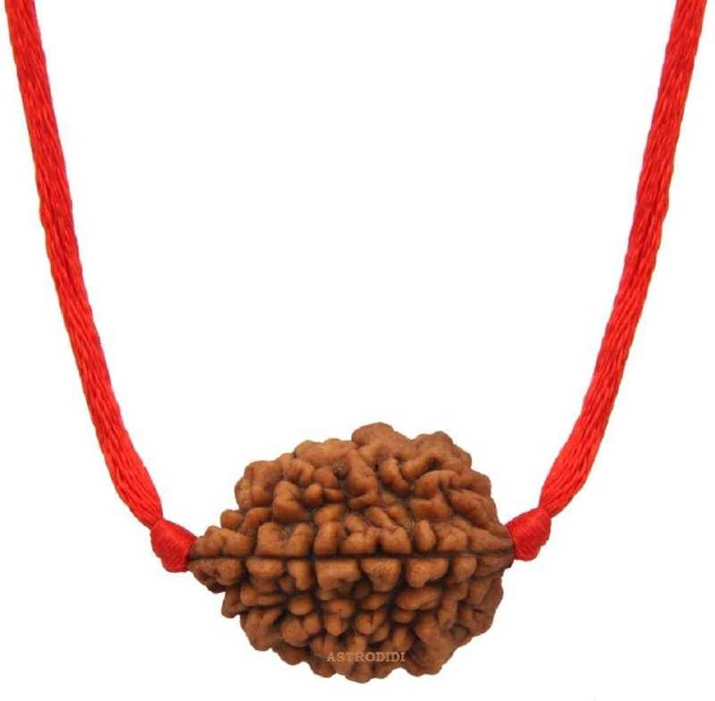     			Astrodidi 2 Mukhi Rudraksha With Lab Certificate